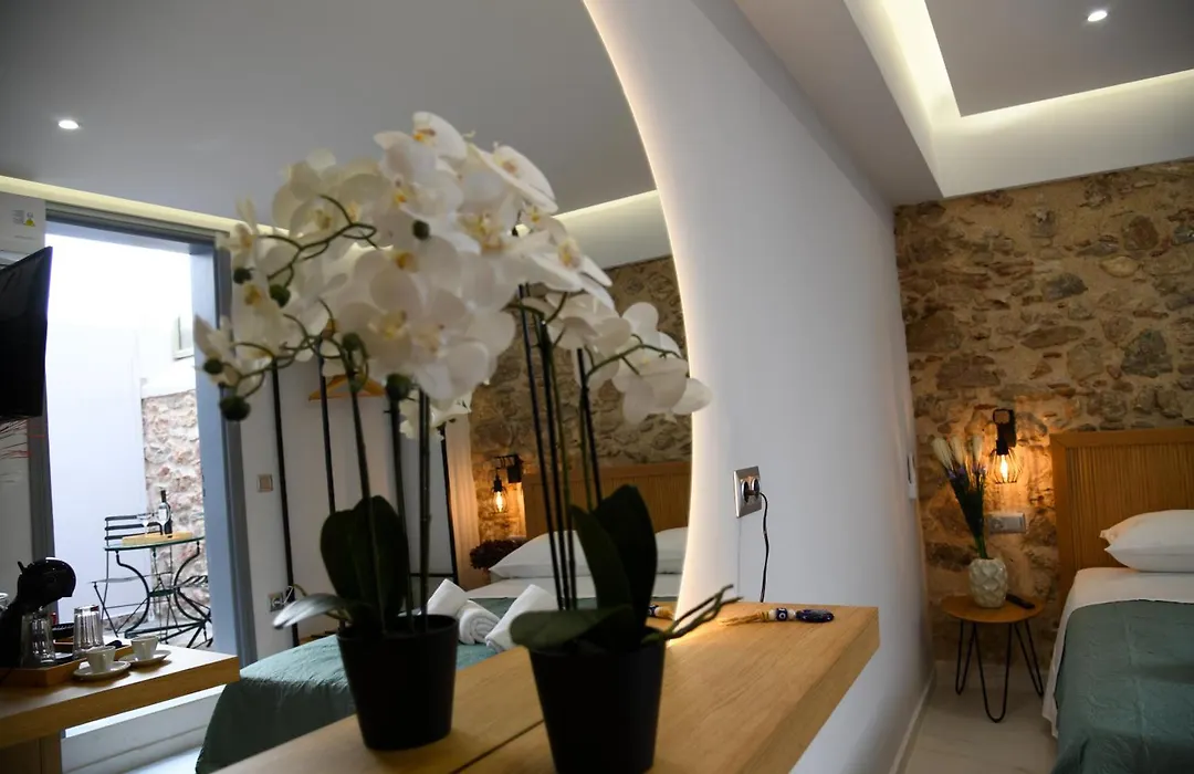 Authentic Plaka Home-1